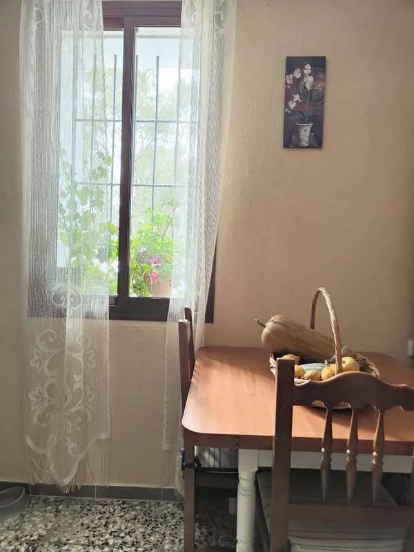 Nieruchomość z drzewami oliwnymi w Maladze — zdjęcie