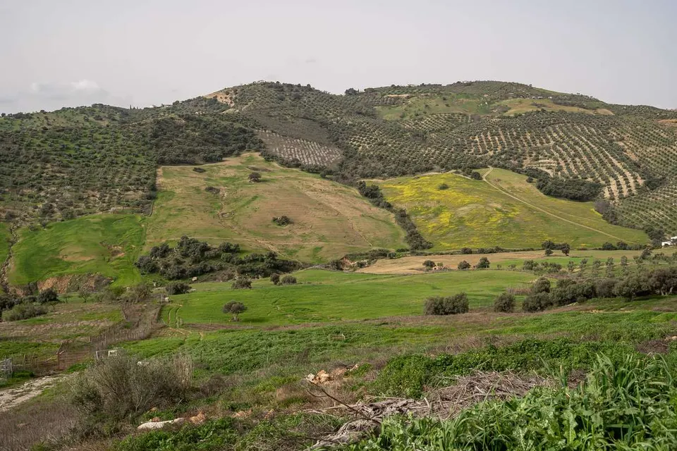 Dom finca w Villanueva de la Concepción — zdjęcie