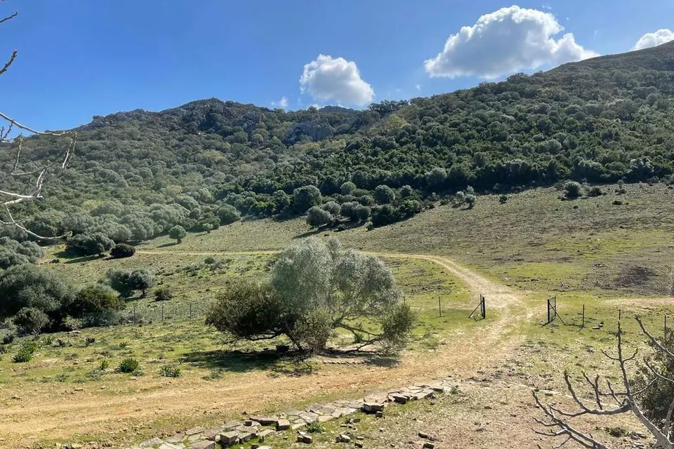 Nieruchomość z dostępem do jeziora w Castellar de la Frontera — zdjęcie