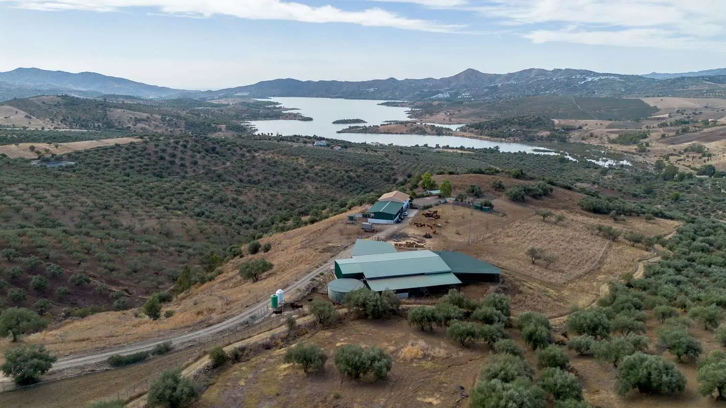 Nieruchomość z licencją hodowlaną w Periánie — Finca - Cortijo, Periana