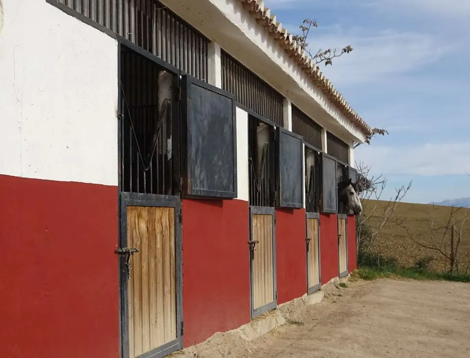 Dom finca w Villanueva de la Concepción — zdjęcie