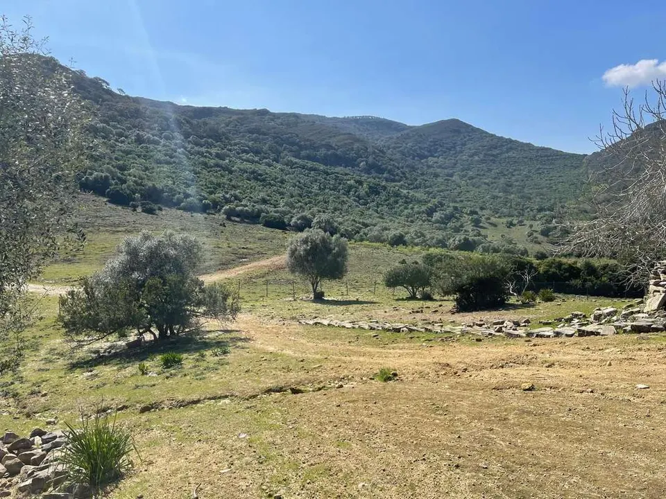 Nieruchomość z dostępem do jeziora w Castellar de la Frontera — zdjęcie